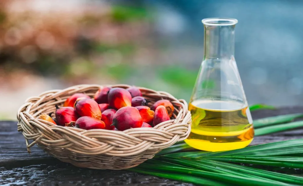 SUSTAINABLE ORGANIC PALM OIL (SOPO)